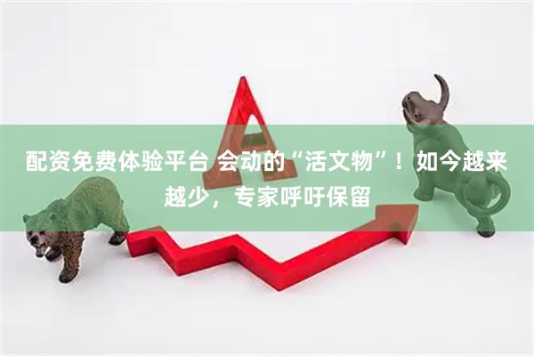 配资免费体验平台 会动的“活文物”！如今越来越少，专家呼吁保留