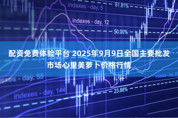 配资免费体验平台 2025年9月9日全国主要批发市场心里美萝卜价格行情