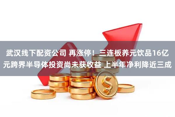 武汉线下配资公司 再涨停！三连板养元饮品16亿元跨界半导体投资尚未获收益 上半年净利降近三成