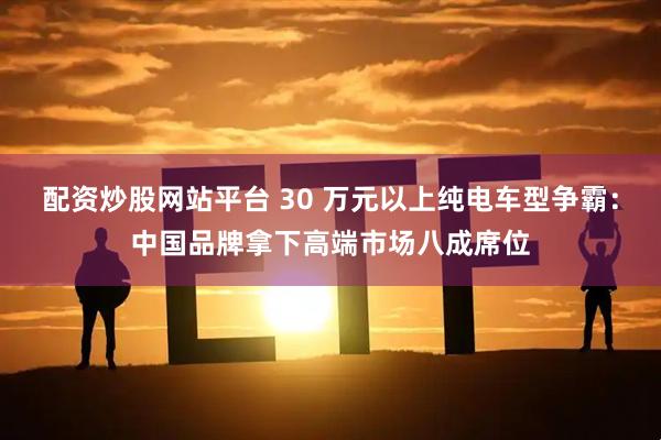 配资炒股网站平台 30 万元以上纯电车型争霸:中国品牌拿下高端市场八成席位