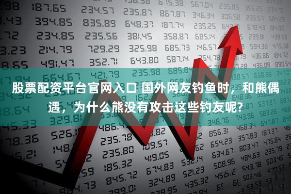 股票配资平台官网入口 国外网友钓鱼时，和熊偶遇，为什么熊没有攻击这些钓友呢?