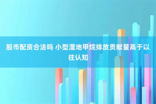股市配资合法吗 小型湿地甲烷排放贡献量高于以往认知