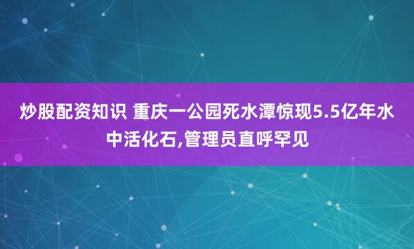 炒股配资知识 重庆一公园死水潭惊现5.5亿年水中活化石,管理员直呼罕见