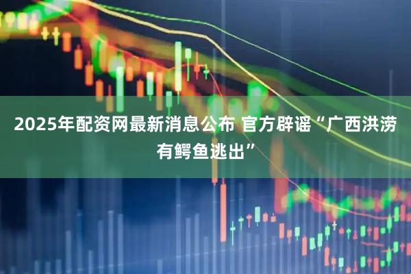 2025年配资网最新消息公布 官方辟谣“广西洪涝有鳄鱼逃出”